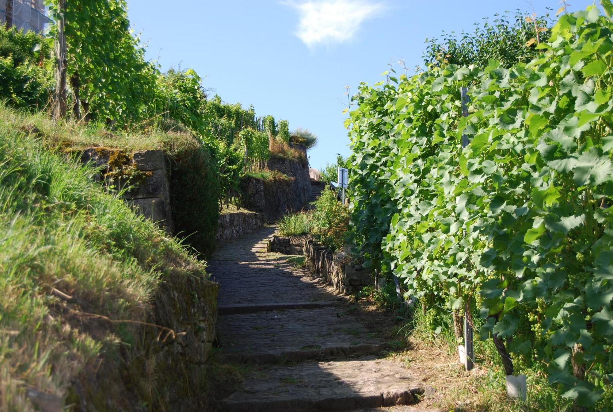 Unter Der Yburg Stetten Stetten  Exterior photo